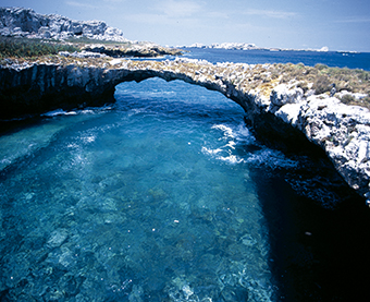 Marietas Islands Bahía de Banderas